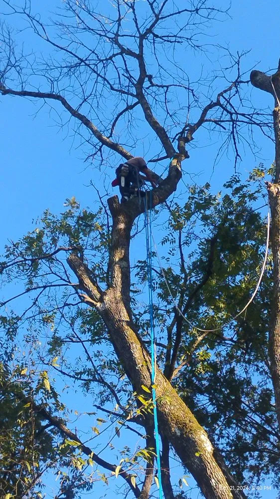 Affordable garden landscaping experts serving Jefferson City, TN - Extreme Tree Service