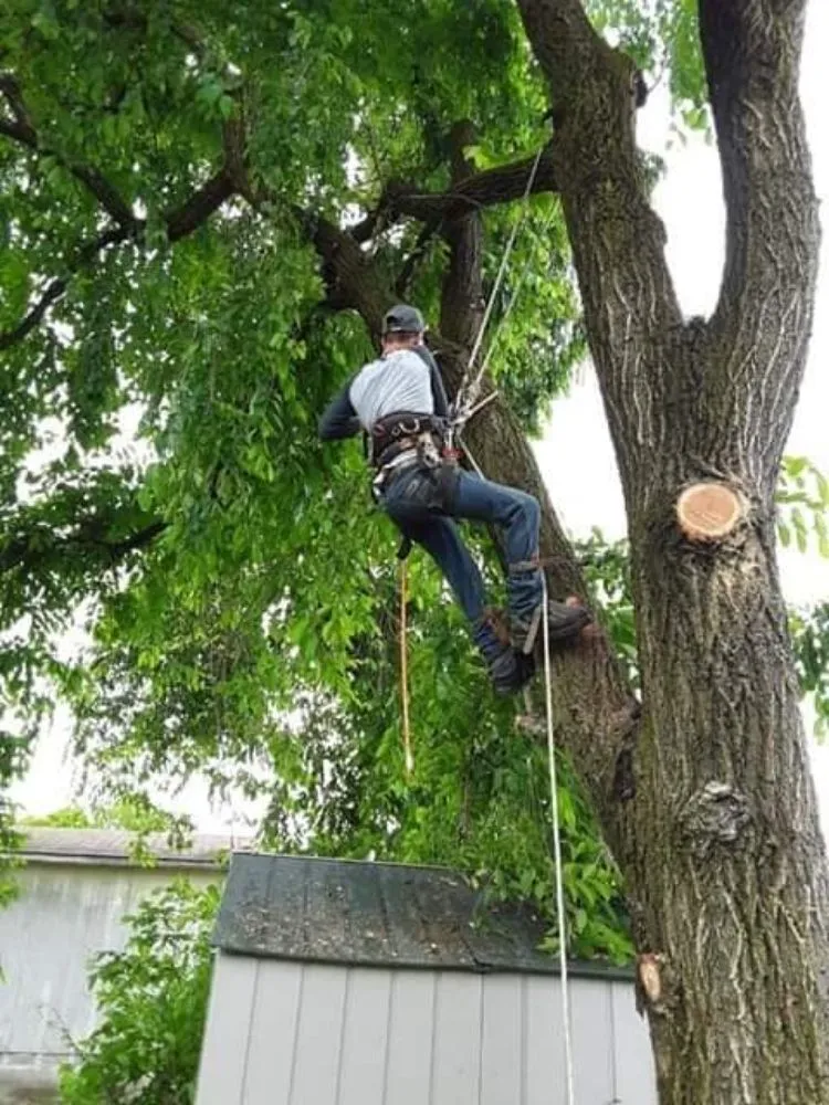 Expert garden landscaping for residential properties across Jefferson City, TN - Extreme Tree Service