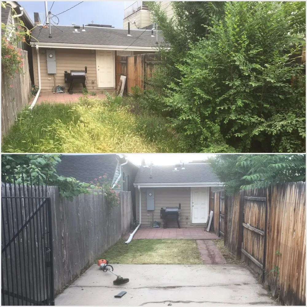 Local yard cleanup service in Denver, CO by Extreme Yard Care