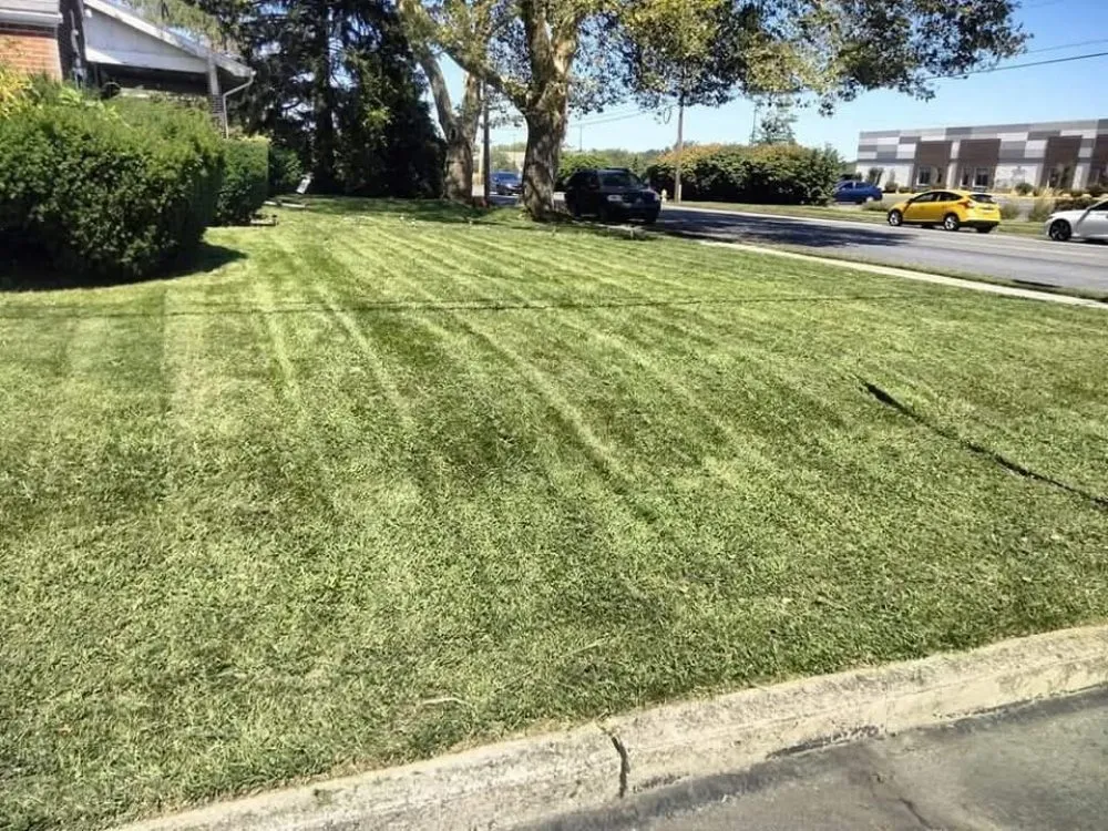 Expert residential landscaping in Bethlehem, PA - Exuberant Lawns