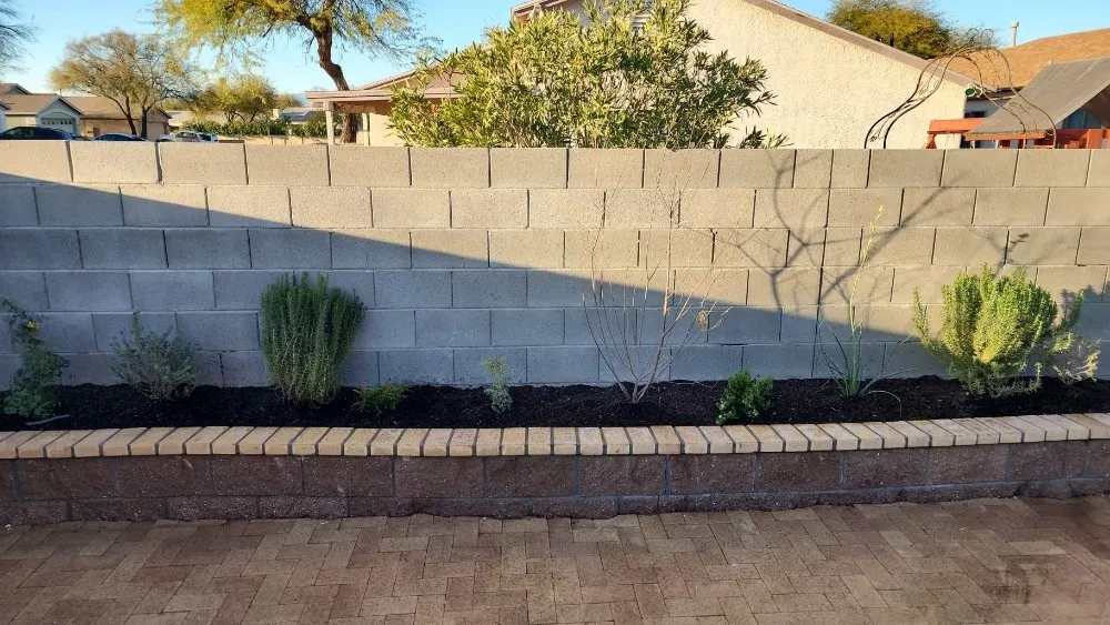Expert yard maintenance for residential properties across Tucson, AZ - Exxcell Landscaping