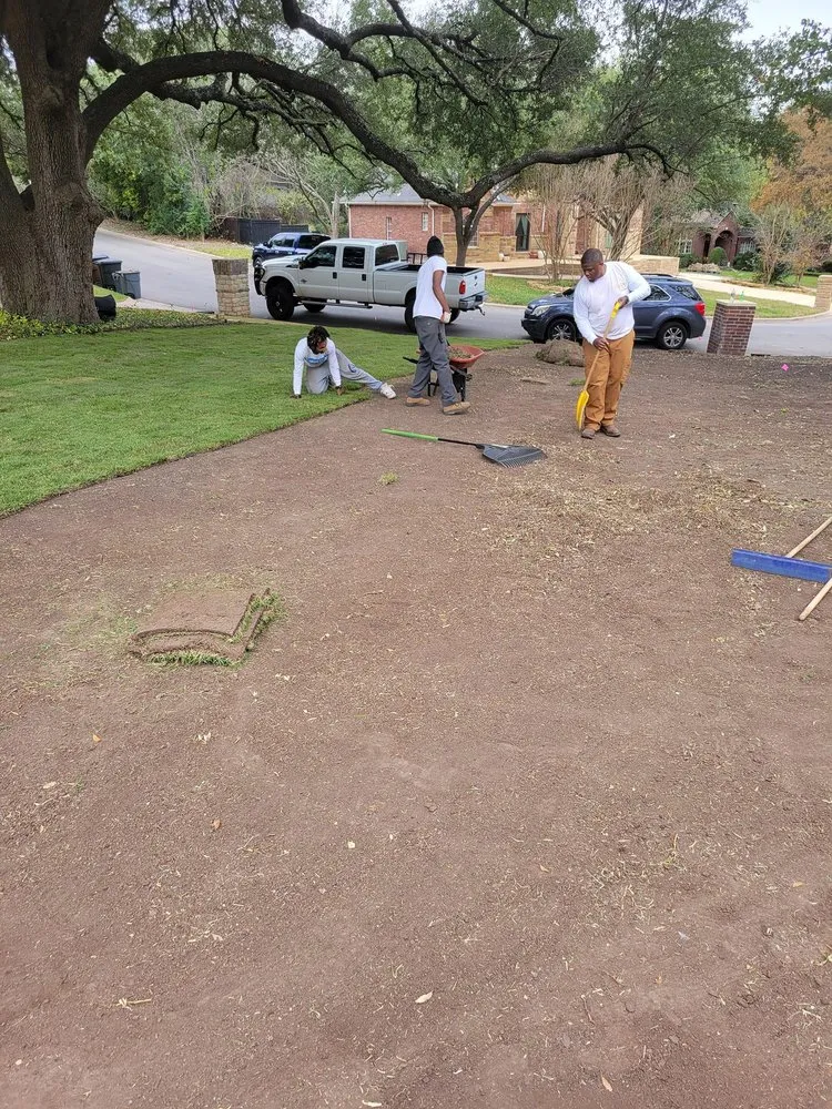 Reliable garden landscaping in Round Rock, TX - Exxtra Pair of Hands