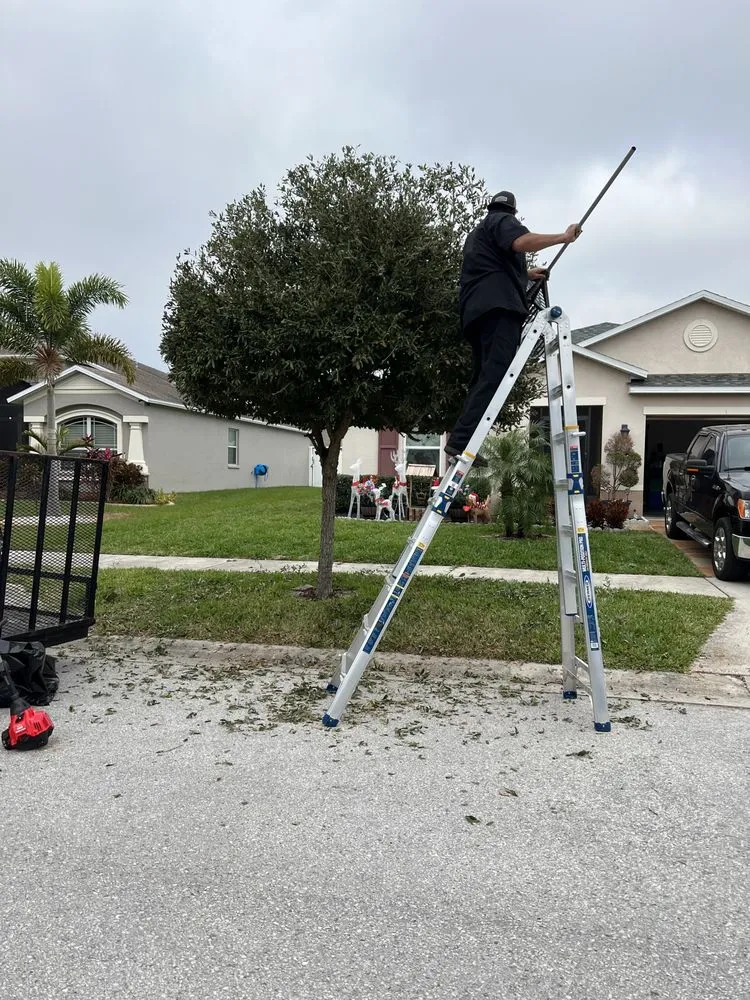 Affordable yard cleanup service in Riverview, FL by E&Y Lawn Service & More