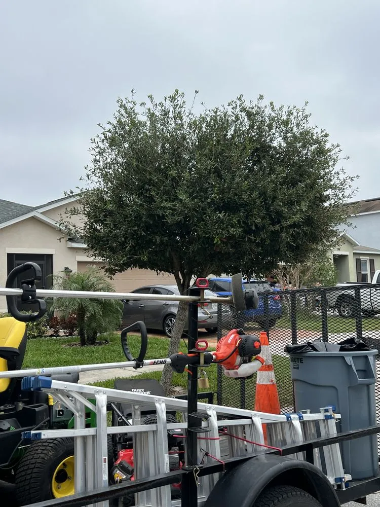 Top-rated lawn mowing service experts serving Riverview, FL - E&Y Lawn Service & More