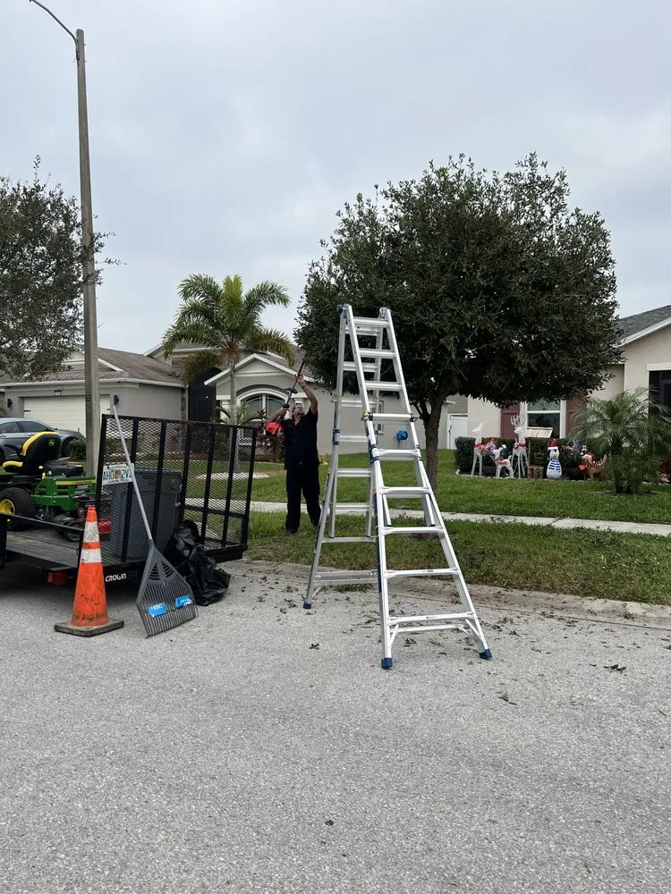 Expert lawn care service experts serving Riverview, FL - E&Y Lawn Service & More