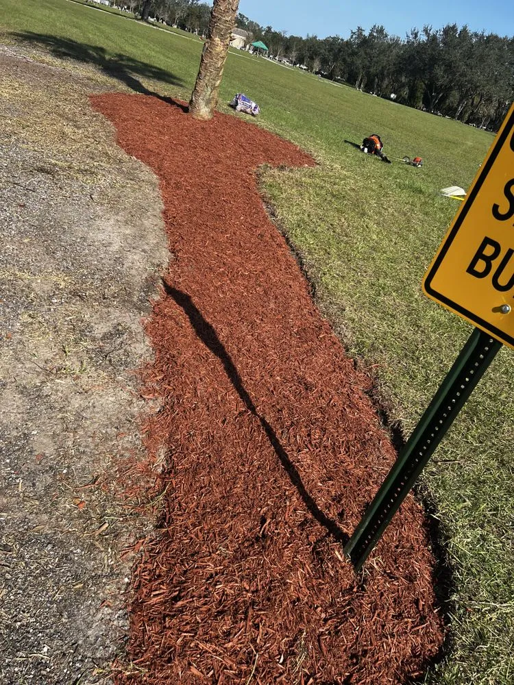 Expert lawn mowing service experts serving Riverview, FL - E&Y Lawn Service & More