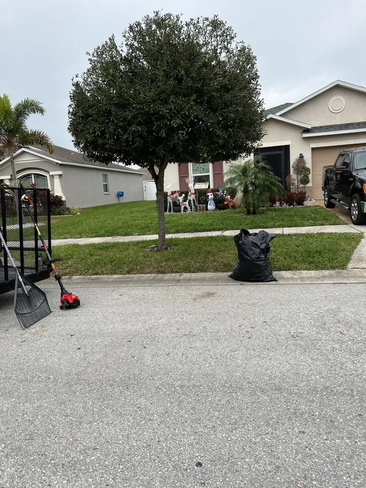 Affordable landscape design experts serving Riverview, FL - E&Y Lawn Service & More