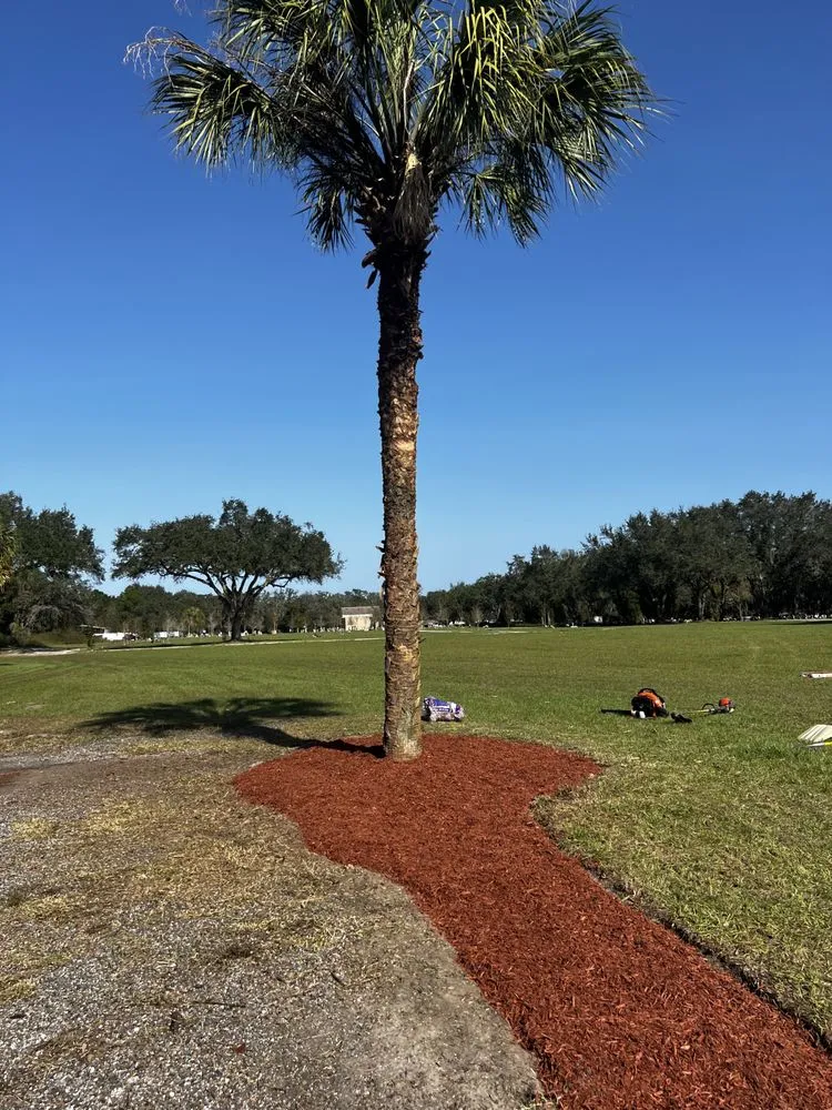 Top-rated garden landscaping experts serving Riverview, FL - E&Y Lawn Service & More