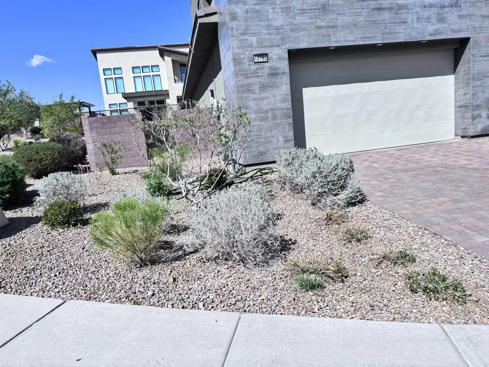 Trusted garden landscaping in Las Vegas, NV by Eyd Garden End Tree Services