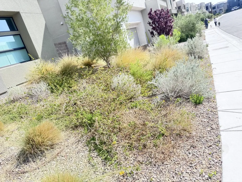 Affordable outdoor landscaping in Las Vegas, NV - Eyd Garden End Tree Services