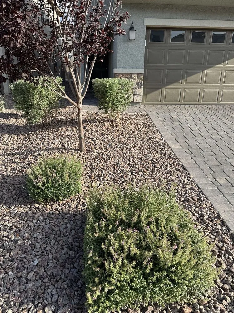 Affordable yard maintenance experts serving Las Vegas, NV - Eyd Garden End Tree Services