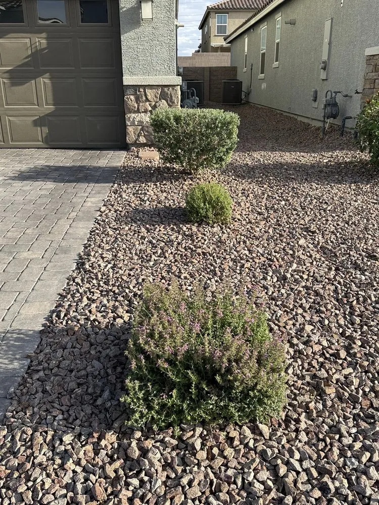 Custom garden landscaping with custom design in Las Vegas, NV by Eyd Garden End Tree Services