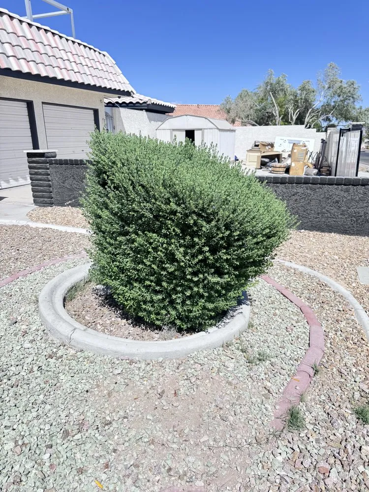Custom landscape design in Las Vegas, NV - Eyd Garden End Tree Services