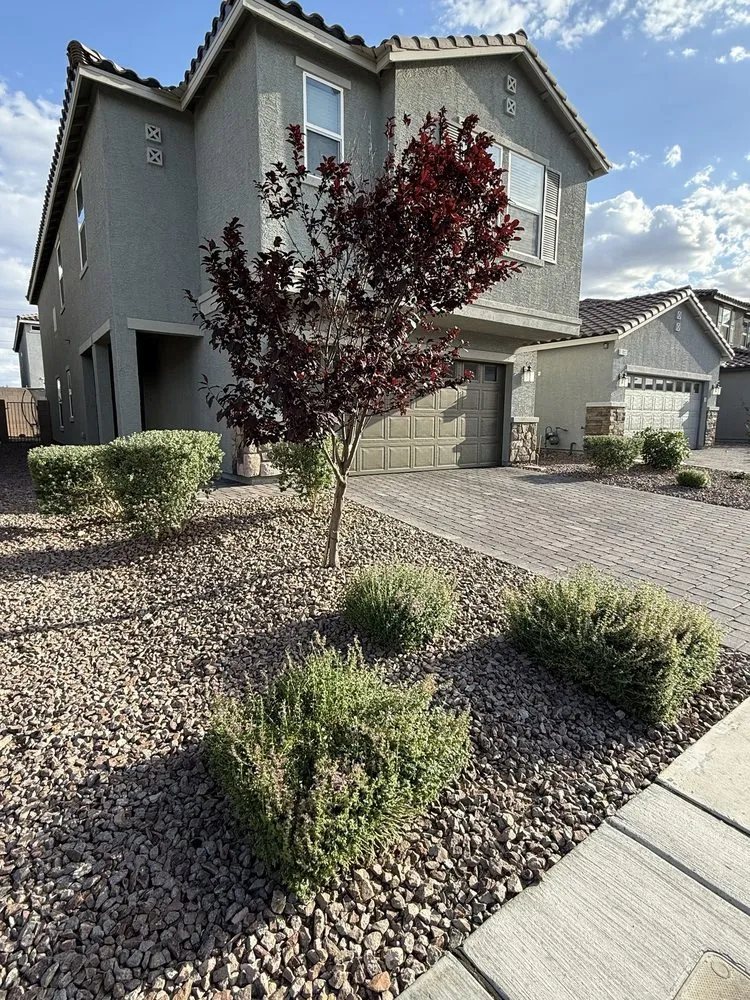 Professional lawn care service experts serving Las Vegas, NV - Eyd Garden End Tree Services
