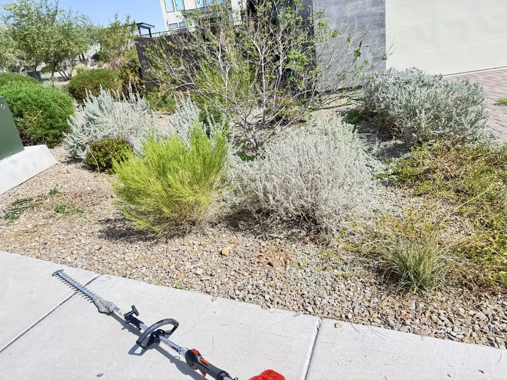 Trusted lawn mowing service experts serving Las Vegas, NV - Eyd Garden End Tree Services