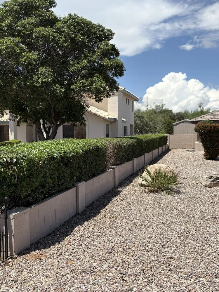 Trusted yard cleanup service for homes across Sierra Vista, AZ - Eye Candy Landscape