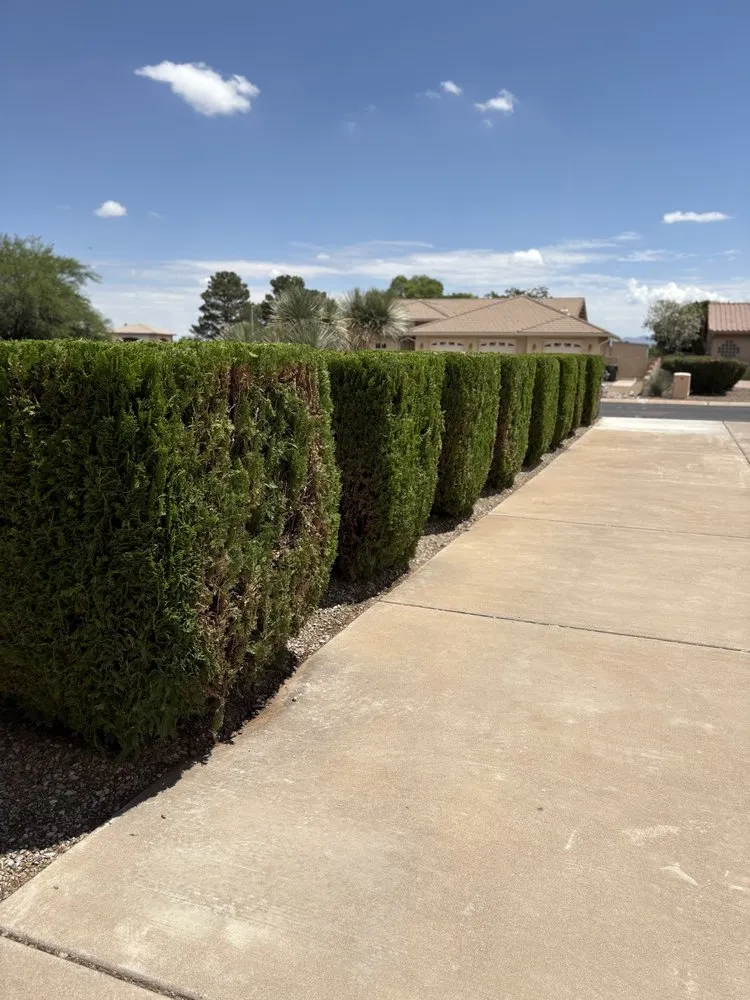 Top-rated landscape design for year-round maintenance across Sierra Vista, AZ - Eye Candy Landscape