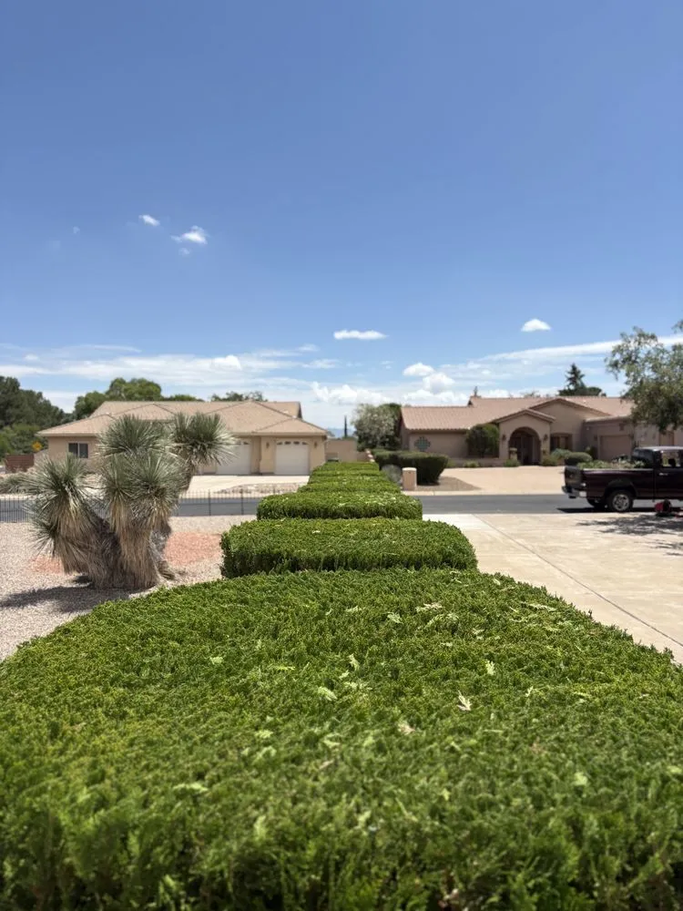 Top-rated yard cleanup service in Sierra Vista, AZ by Eye Candy Landscape