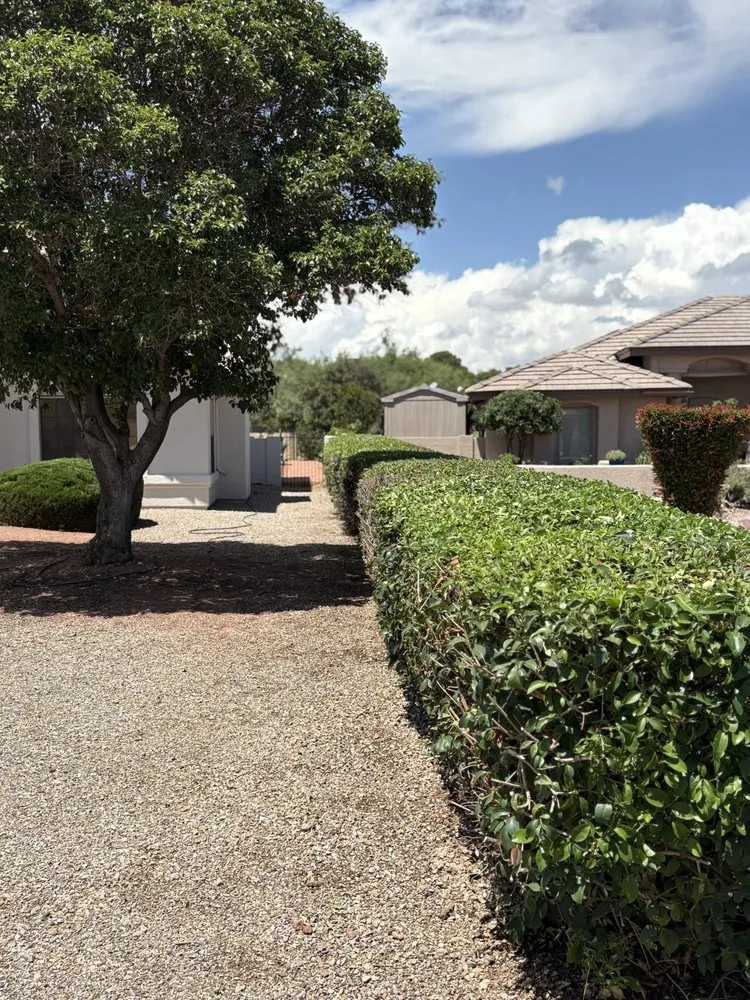 Trusted landscape installation in Sierra Vista, AZ by Eye Candy Landscape