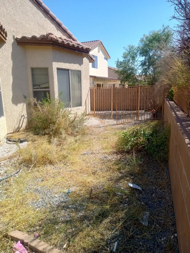 Local outdoor landscaping experts serving Sierra Vista, AZ - Eye Candy Landscape