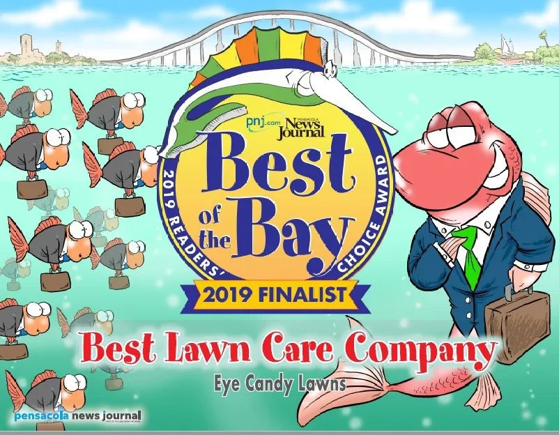 Affordable outdoor landscaping with custom design in Gulf Breeze, FL by Eye Candy Lawns