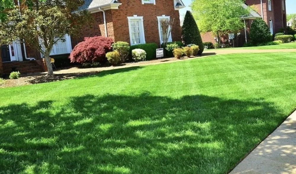 Top-rated landscaping services with custom design in Milton, FL by Eye Candy