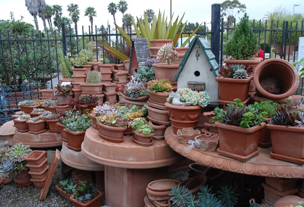 Expert landscape installation in Carpinteria, CA - Eye of the Day Garden Design Center