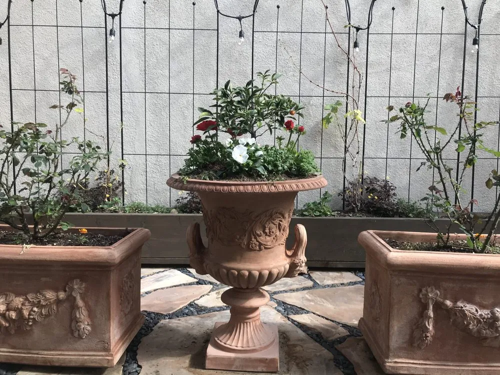 Custom yard cleanup service with custom design across Carpinteria, CA - Eye of the Day Garden Design Center