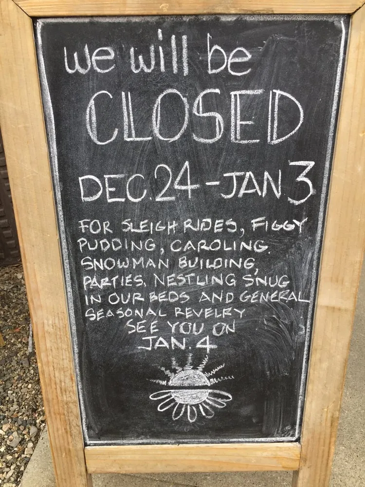 Custom landscape installation near you in Carpinteria, CA by Eye of the Day Garden Design Center