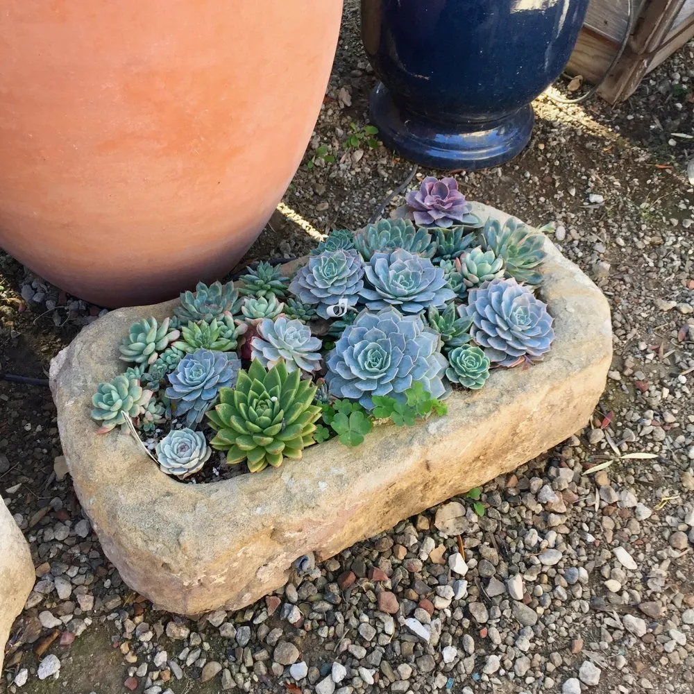 Local lawn mowing service in Carpinteria, CA by Eye of the Day Garden Design Center