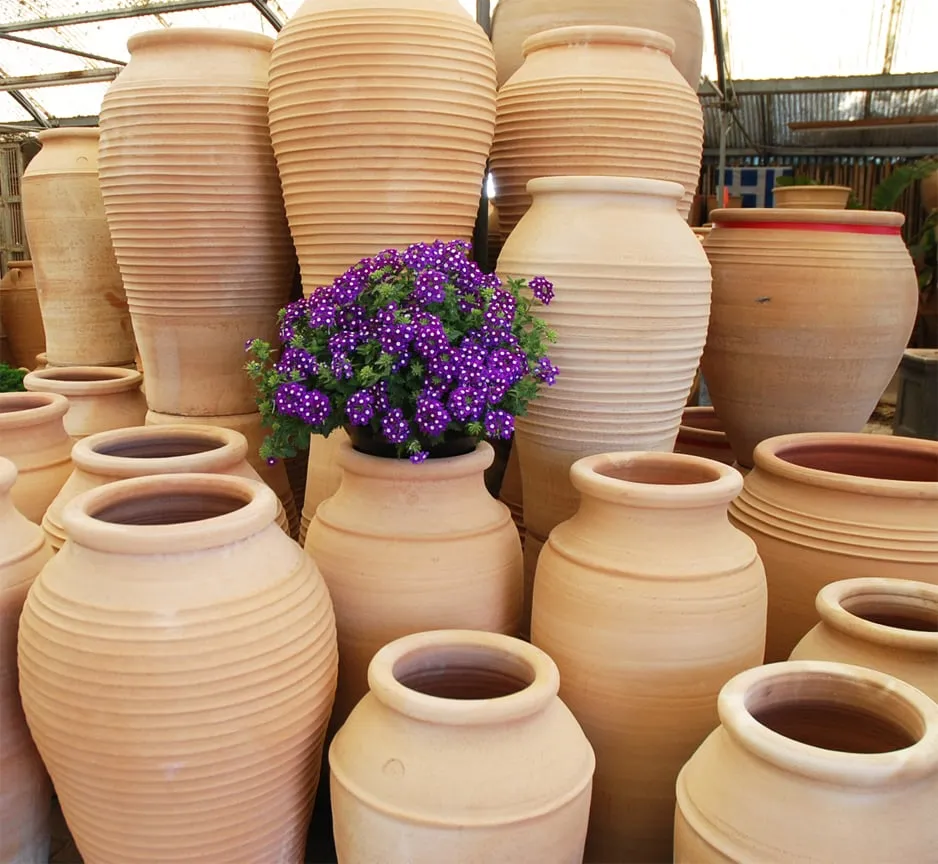 Affordable landscape installation in Carpinteria, CA by Eye of the Day Garden Design Center