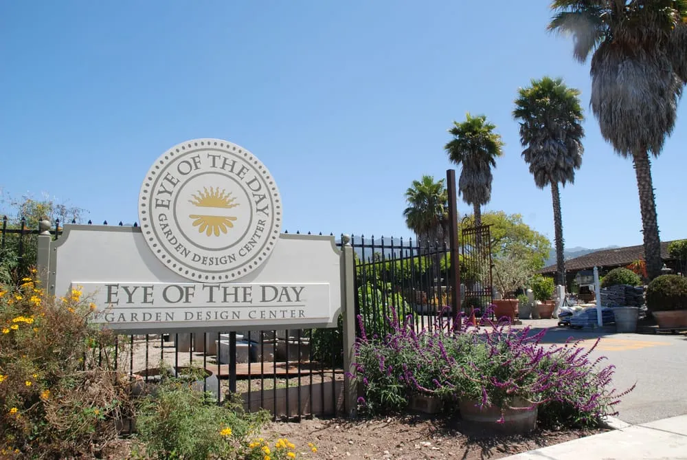 Local yard cleanup service for outdoor upgrades in Carpinteria, CA by Eye of the Day Garden Design Center