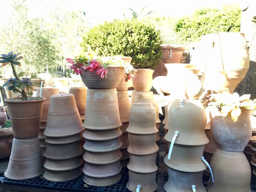 Expert lawn care service in Carpinteria, CA - Eye of the Day Garden Design Center