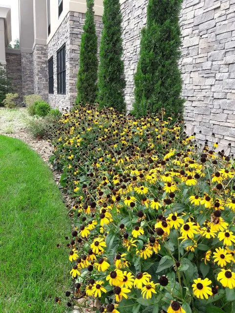 Affordable garden landscaping experts serving Olathe, KS - Eyedeal Lawn Care Systems
