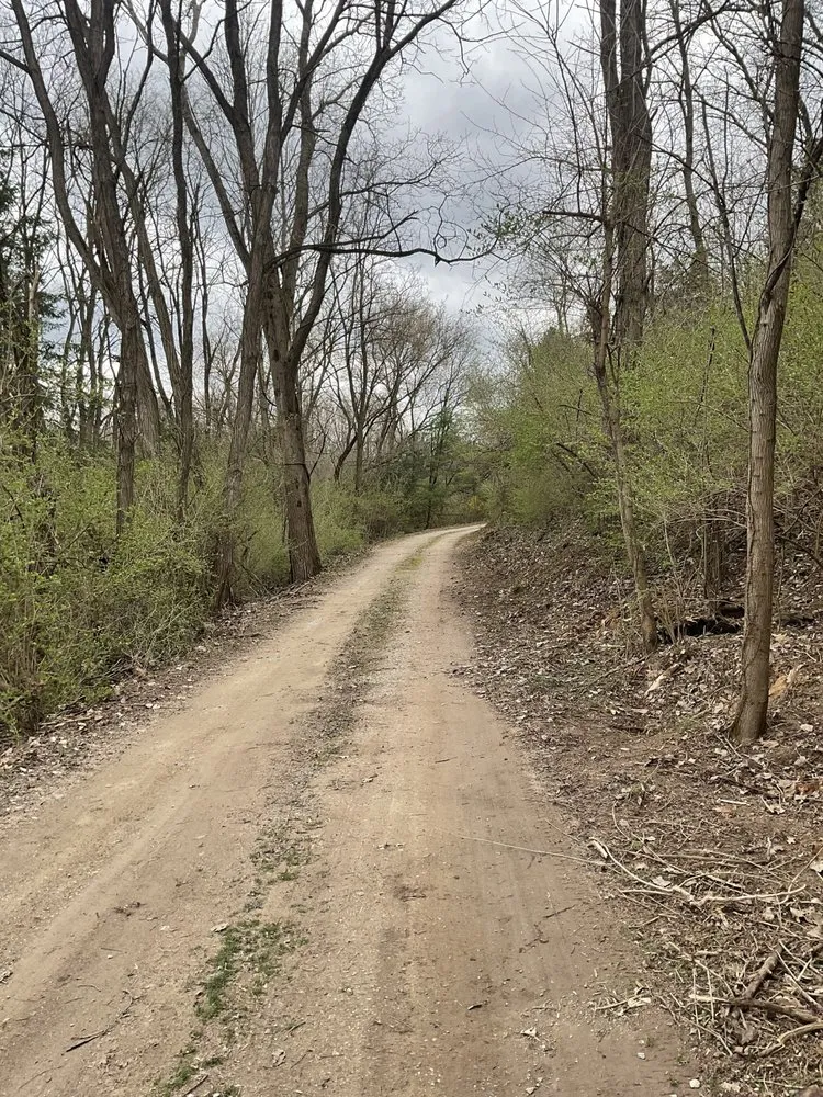 Affordable yard cleanup service in Highland Township, MI - Eyes Outdoors