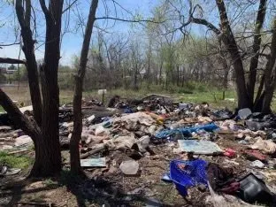 Custom landscape design for homes across Summerfield, NC - EYN Kings