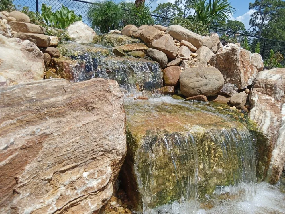 Top-rated residential landscaping experts serving Lehigh Acres, FL - Eywa's Creations