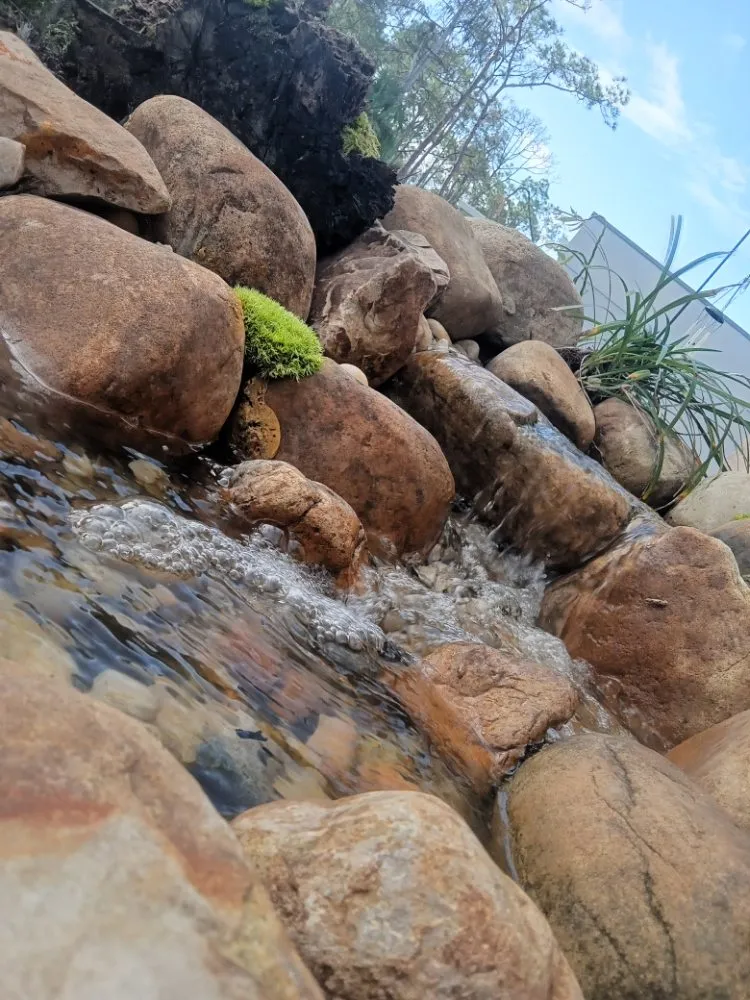 Trusted garden landscaping in Lehigh Acres, FL by Eywa's Creations