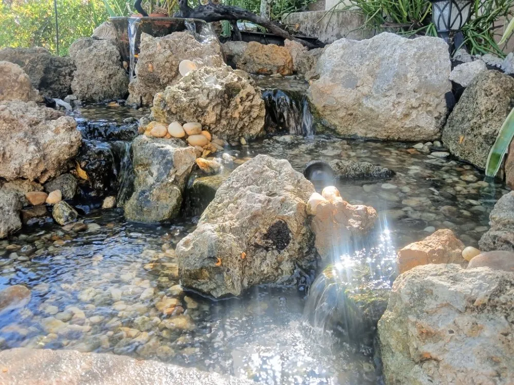 Affordable landscaping services experts serving Lehigh Acres, FL - Eywa's Creations