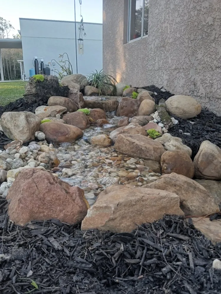 Trusted yard cleanup service in Lehigh Acres, FL by Eywa's Creations