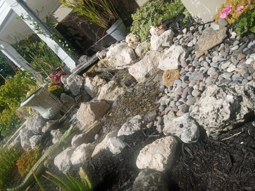 Trusted lawn care service for homes across Lehigh Acres, FL - Eywa's Creations