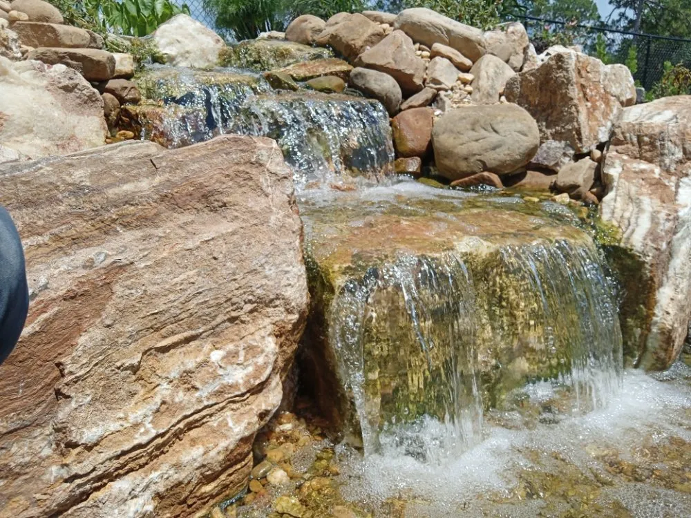 Custom yard maintenance in Lehigh Acres, FL - Eywa's Creations