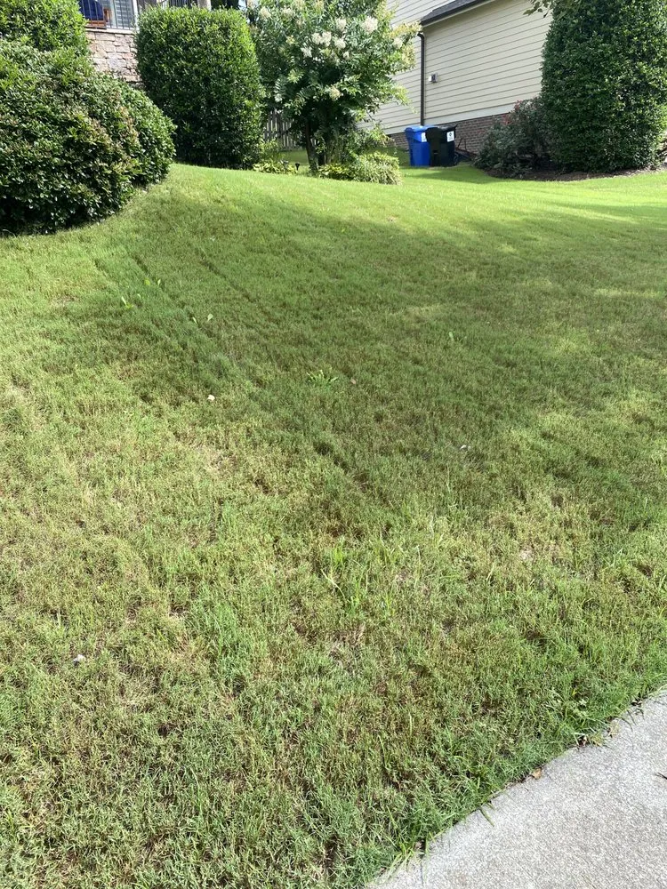 Expert landscape design with custom design in Rolesville, NC by EZ-Aeration