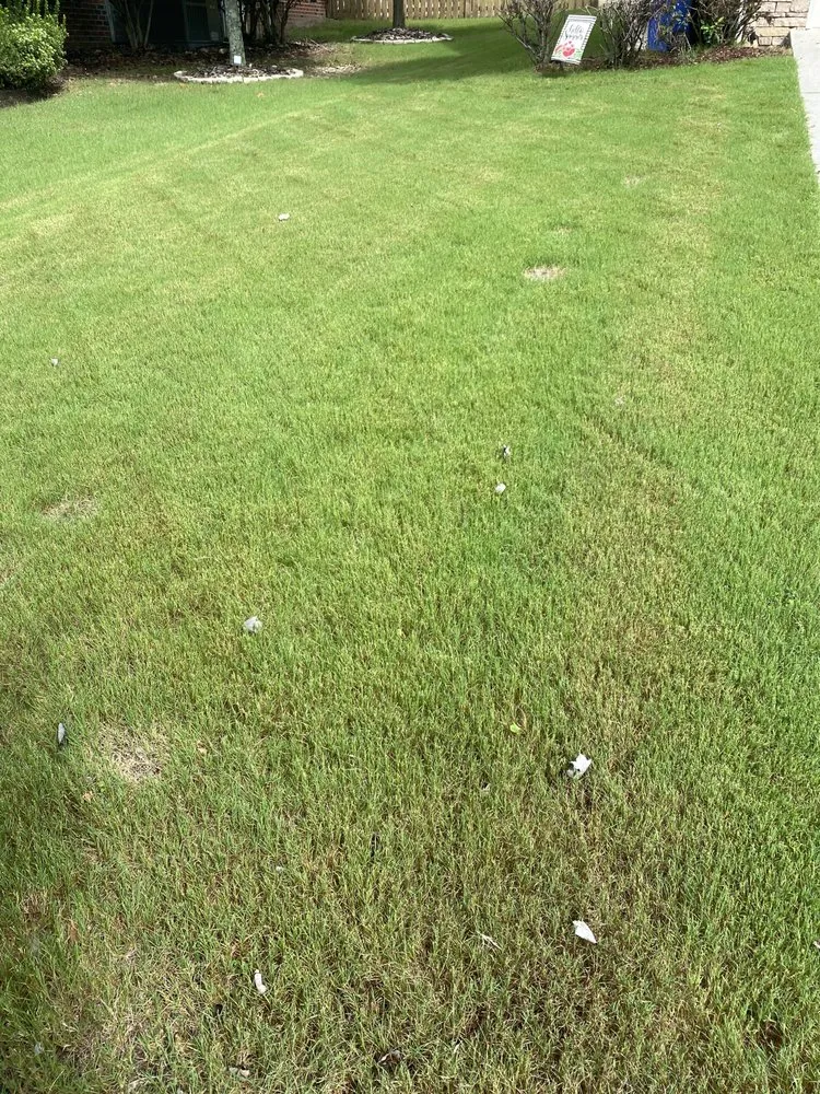 Trusted landscape installation in Rolesville, NC - EZ-Aeration