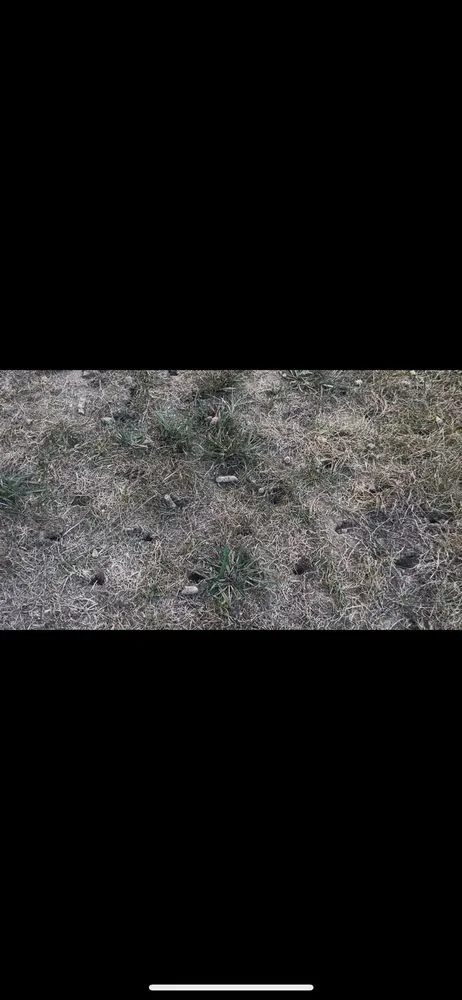 Trusted landscape design experts serving Rolesville, NC - EZ-Aeration