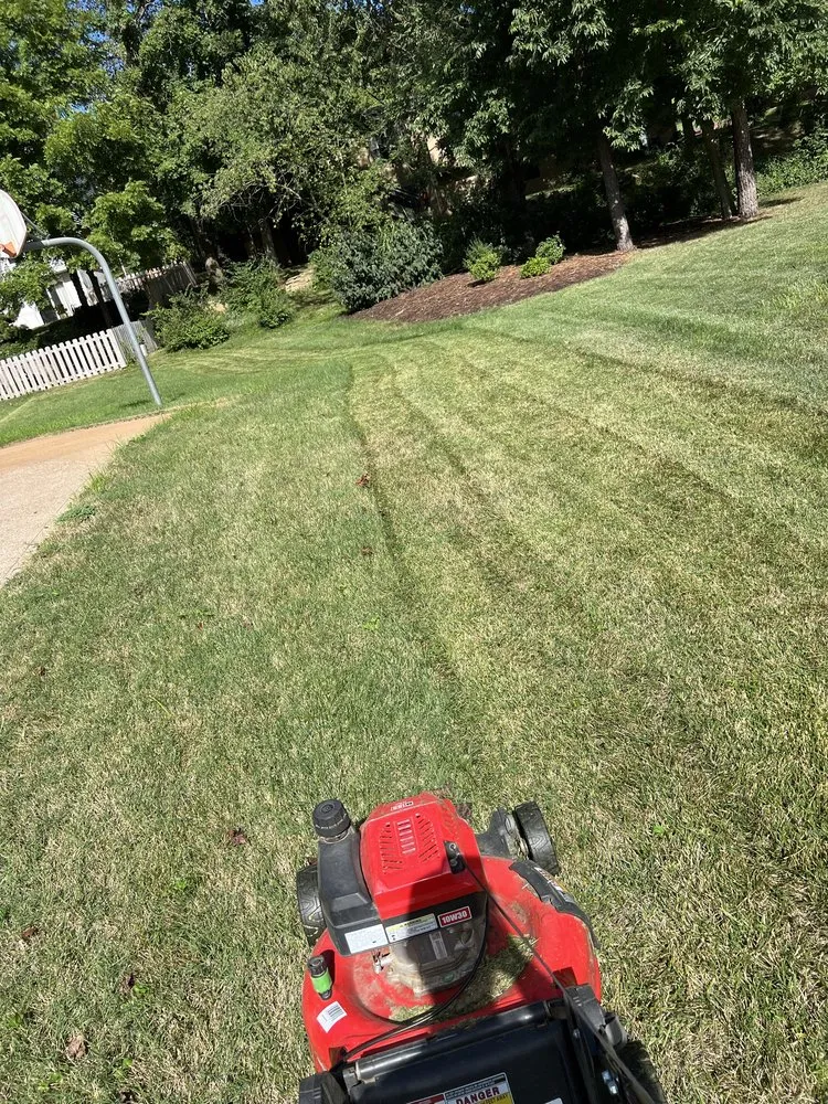 Trusted yard cleanup service in Ballwin, MO - Ez As That Mowing