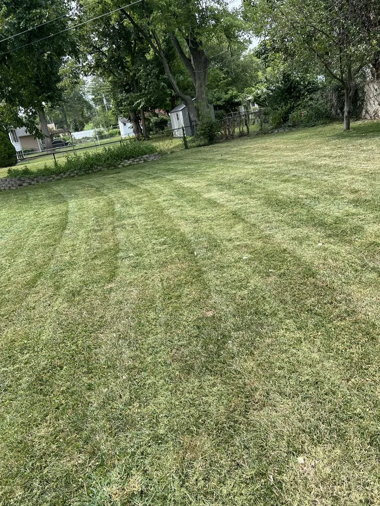 Top-rated yard maintenance experts serving Ballwin, MO - Ez As That Mowing