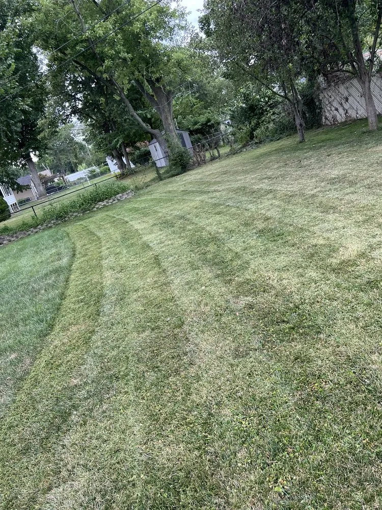 Affordable landscape installation in Ballwin, MO by Ez As That Mowing