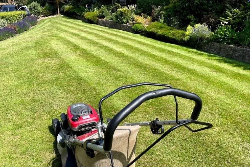 Trusted yard cleanup service in Ballwin, MO - Ez As That Mowing
