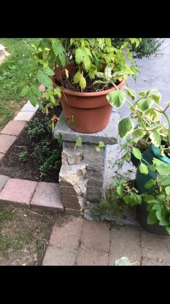 Local landscape design for year-round maintenance in Davenport, FL by Ez Az 123 Services